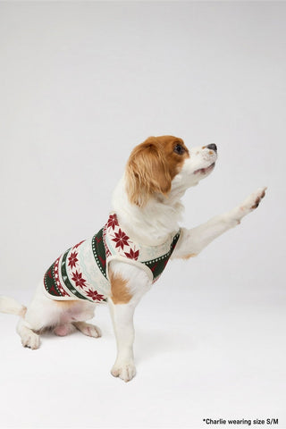 the go-to fleece pet onesie