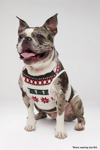 the go-to fleece pet onesie