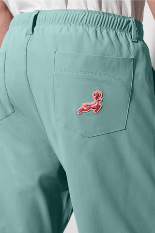 the don baggy pull-on pant