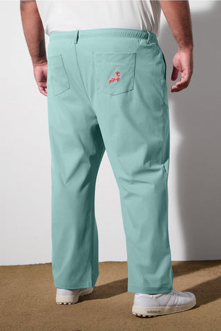 the don baggy pull-on pant